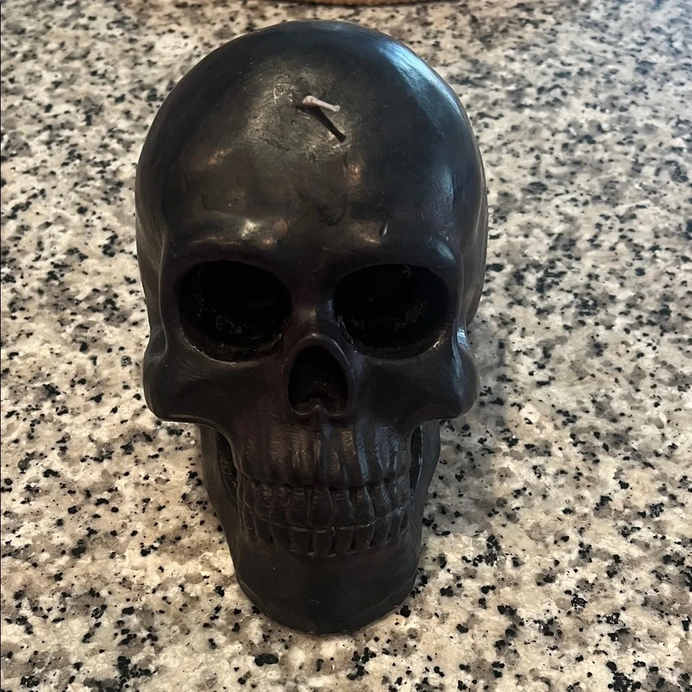 Crate&Barrel Black Skull Decor